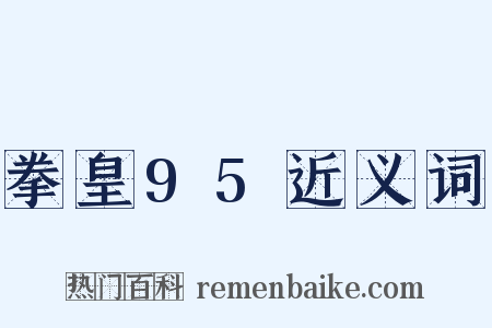 拳皇95近义词是什么意思的图片